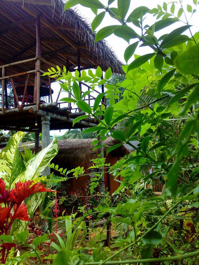 Ancient Gardens Villa Pinnawala  Exterior photo