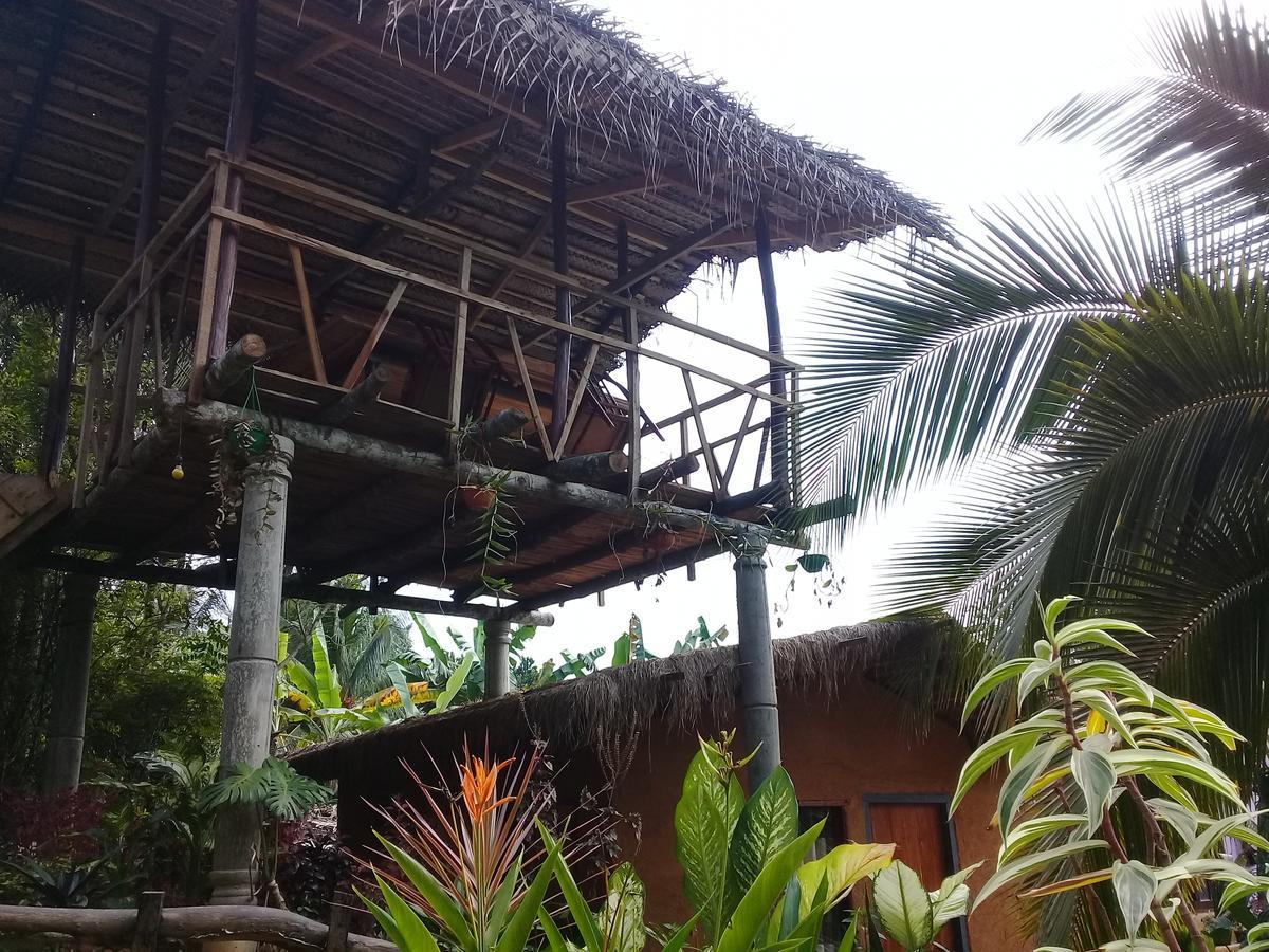 Ancient Gardens Villa Pinnawala  Exterior photo