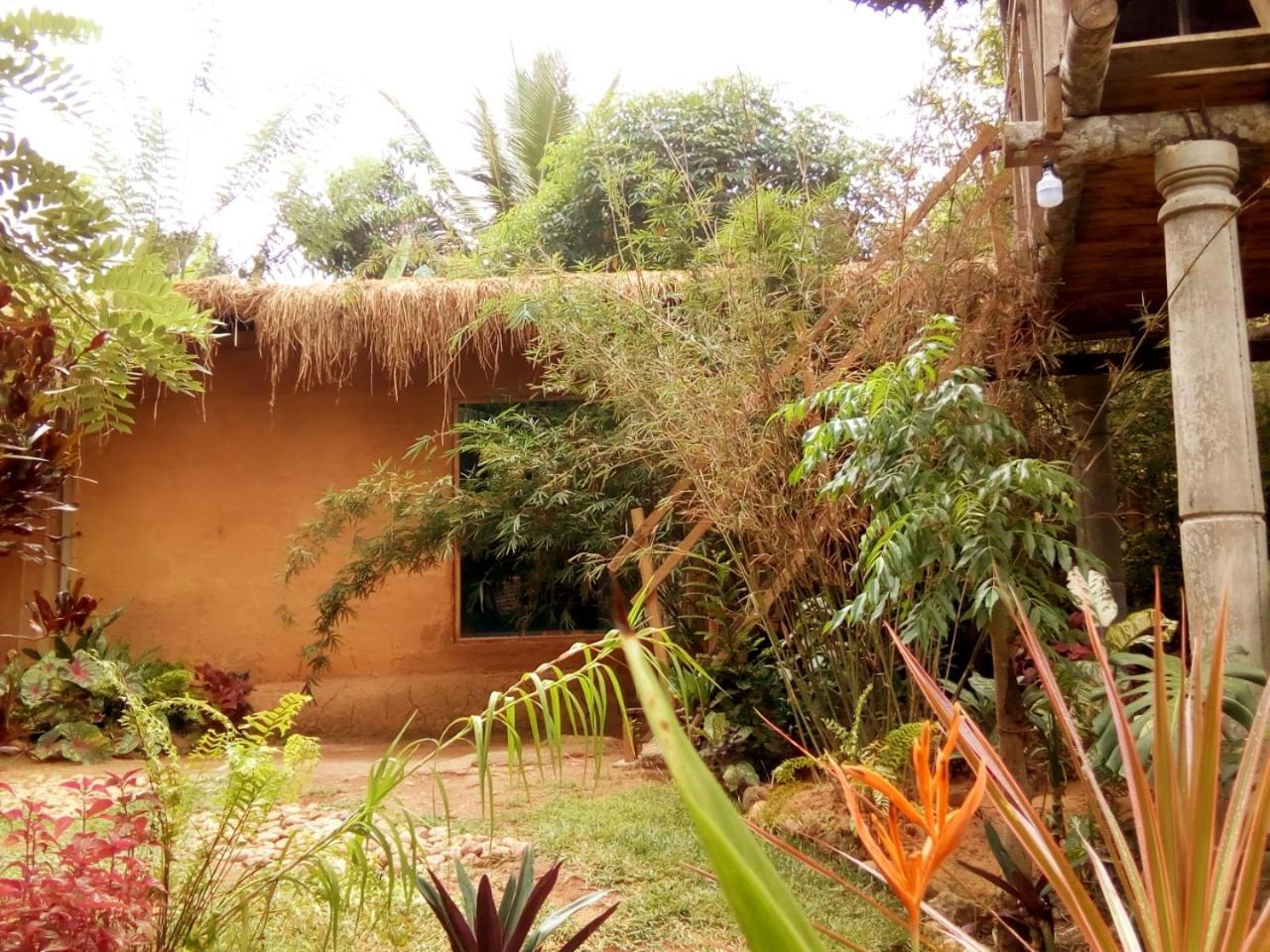 Ancient Gardens Villa Pinnawala  Exterior photo